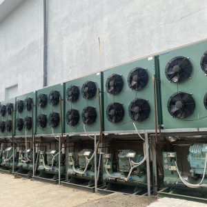 bao-gia-kho-lanh-2026-moi-nhat-chi-phi-thi-cong-kho-lanh-tron-goi