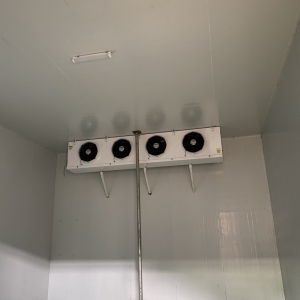 kho-lanh-bao-quan-nong-san